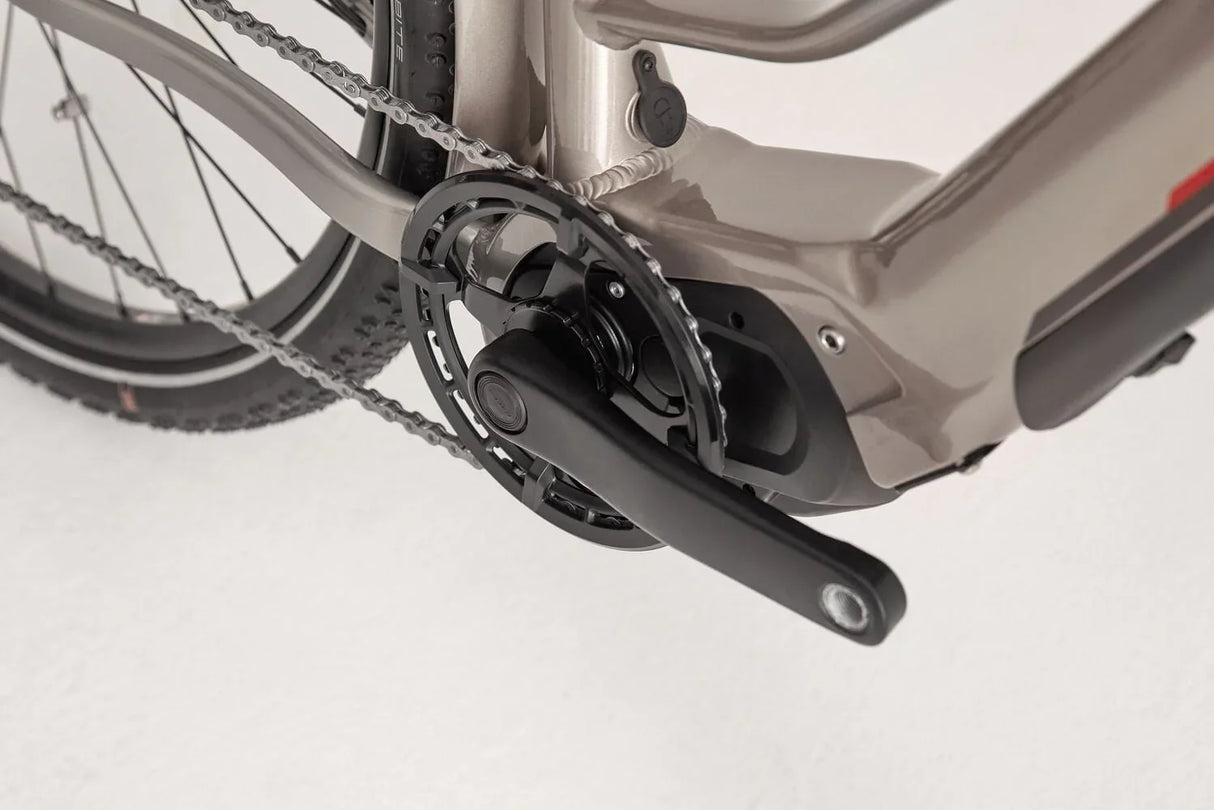Ridgeback Advance 1W - Simple Bike Store