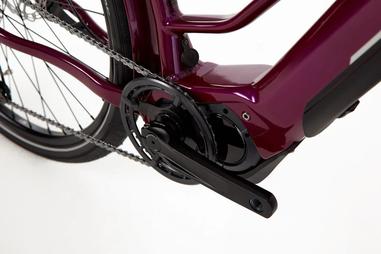 Ridgeback Advance 2W - Simple Bike Store