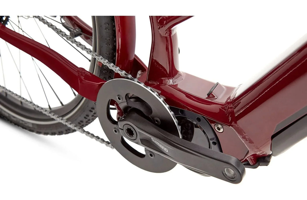 Ridgeback Advance 3W - Simple Bike Store