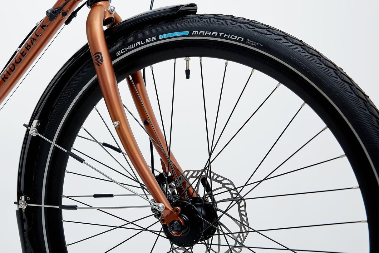 Ridgeback Expedition - Simple Bike Store
