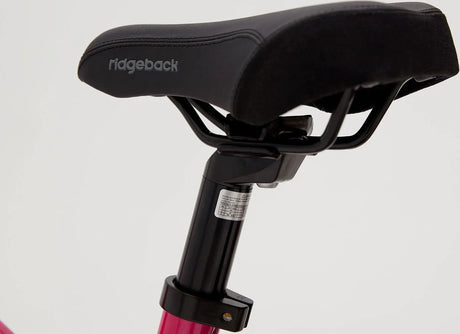 Ridgeback Melody - Simple Bike Store