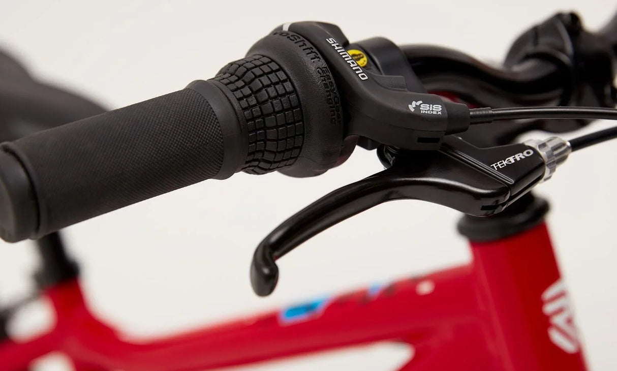 Ridgeback MX20 - Simple Bike Store