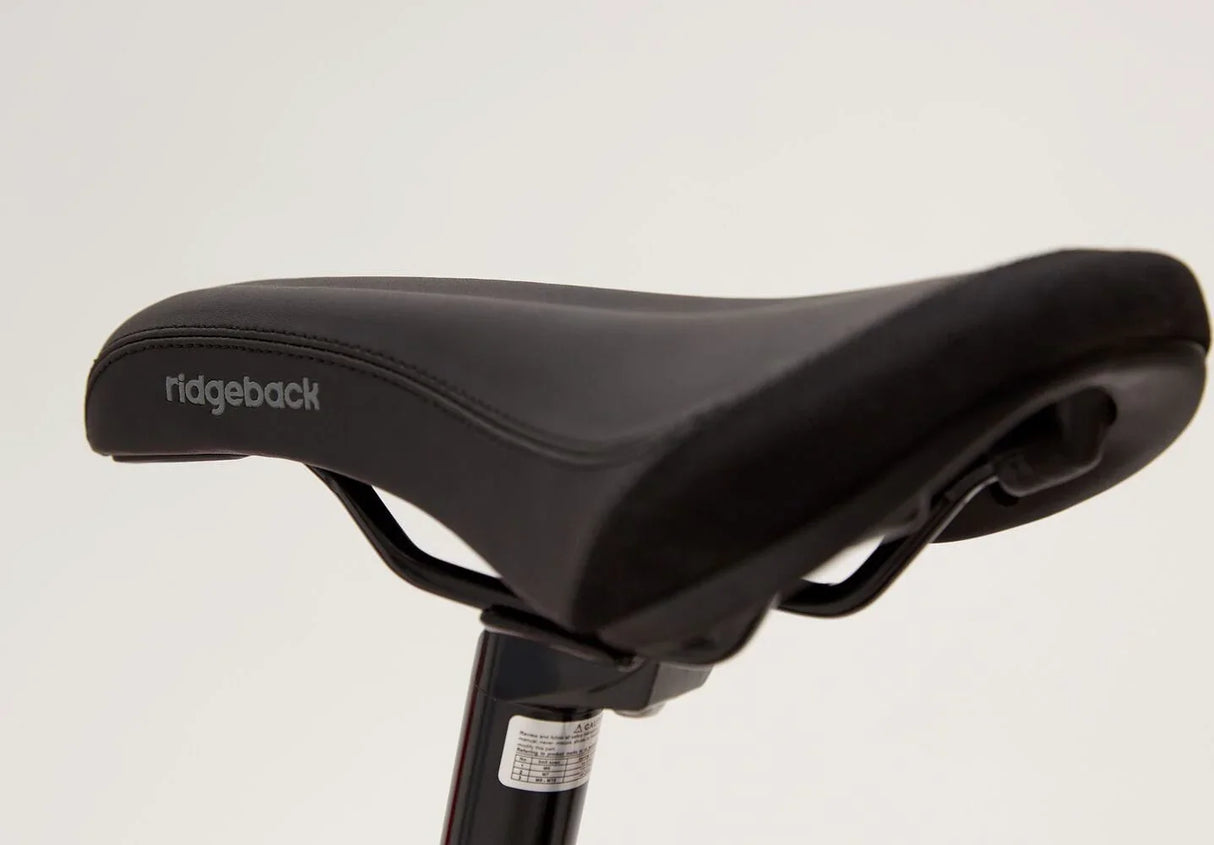 Ridgeback MX20 - Simple Bike Store
