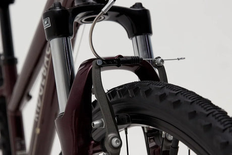 Ridgeback Serenity - Simple Bike Store