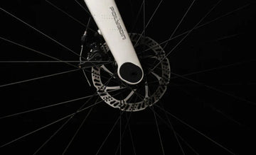 Polygon Tambora G4 - Simple Bike Store