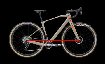 Polygon Tambora G7 - Simple Bike Store