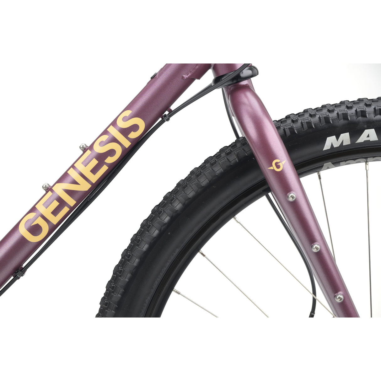 Genesis Vagabond 10 - 2026