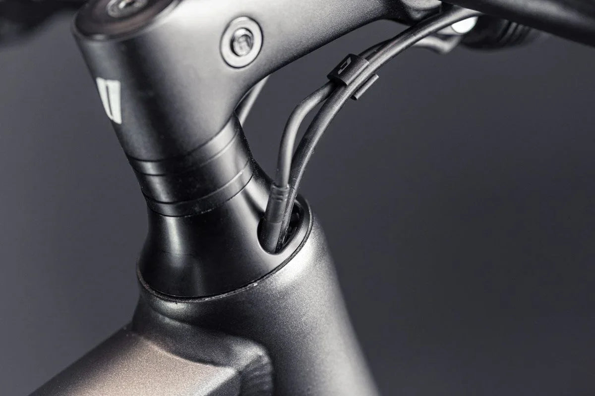 Schindelhauer Heinrich Singlespeed - Simple Bike Store