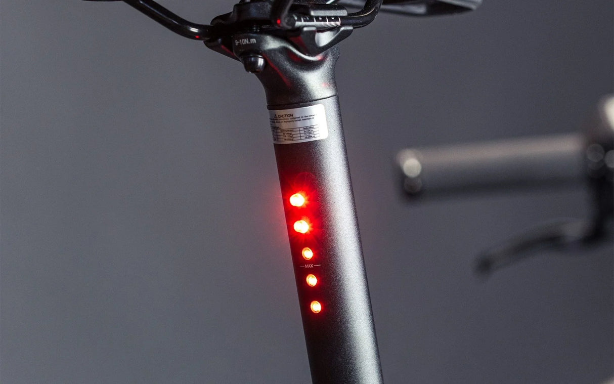Schindelhauer Heinrich Singlespeed - Simple Bike Store