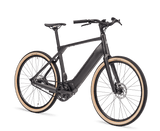 Schindelhauer Heinrich