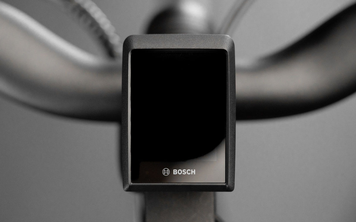 Schindelhauer Heinrich