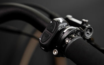 Schindelhauer Heinrich XIV Rohloff