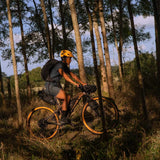 Santa Cruz Chameleon AL D - Simple Bike Store