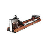 KingSmith WalkingPad WR1 Rowing Trainer