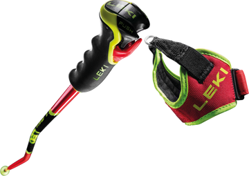 LEKI poles WC Racing GS