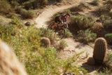 Pivot LES SL Pro X0 Eagle Transmission