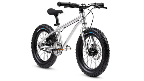 Early Rider Seeker X 16 - Simple Bike Store