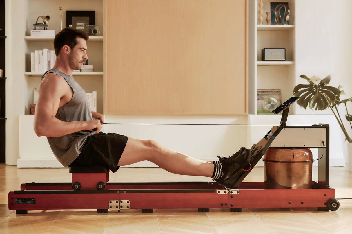 KingSmith WalkingPad WM10 Rowing Trainer