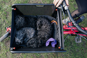 Muli Dog Cushion - Simple Bike Store