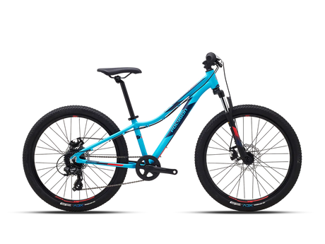 Polygon Relic24 - Simple Bike Store