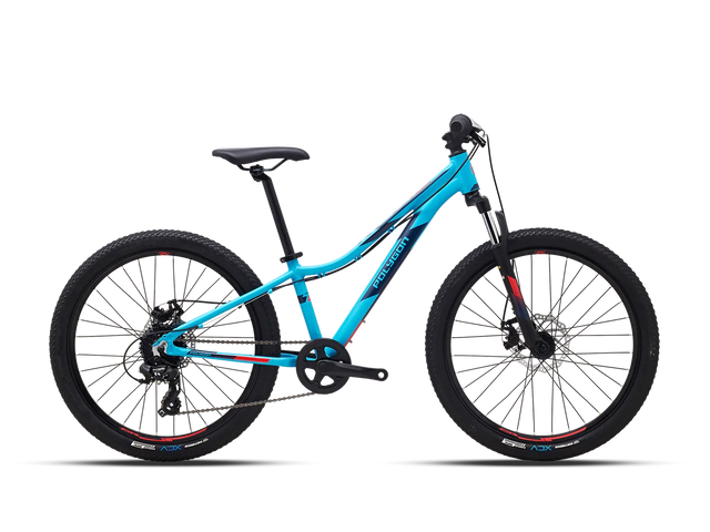 Polygon Relic24 - Simple Bike Store