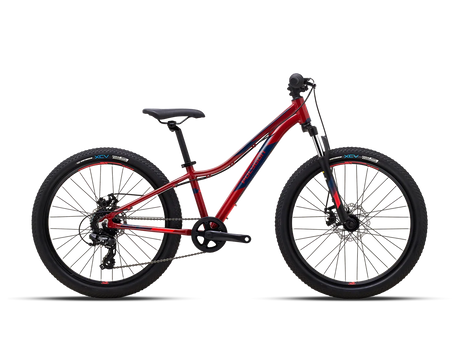 Polygon Relic24 - Simple Bike Store