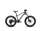 Polygon Xtrada20