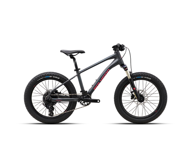 Polygon Xtrada20 - Simple Bike Store