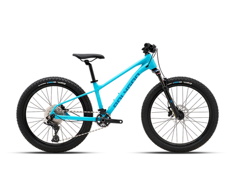 Polygon Xtrada24 - Simple Bike Store