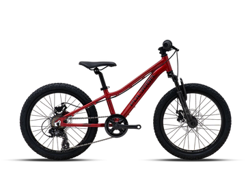 Polygon Relic 20 - Simple Bike Store