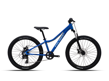 Polygon Relic 24 - Simple Bike Store