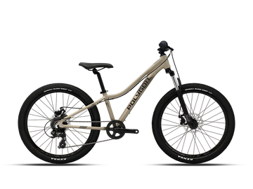 Polygon Relic 24 - Simple Bike Store