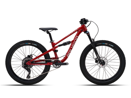 Polygon Siskiu D24 - Simple Bike Store