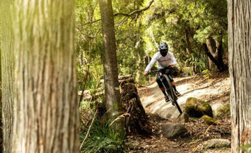 Polygon Collosus N8E - Simple Bike Store