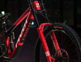 Pivot Phoenix Team XX Special Edition