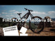 Cannondale Moterra SL 1