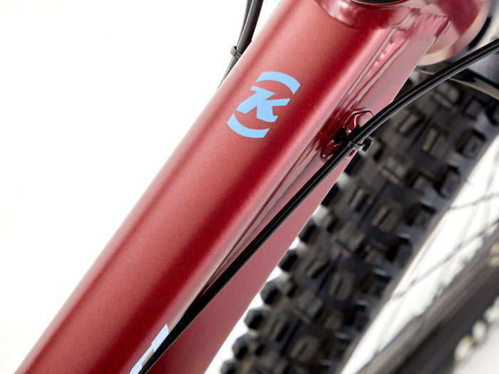 Kona Process 153 29 - Simple Bike Store
