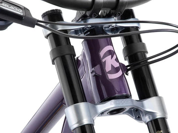Kona Process X DH - Simple Bike Store