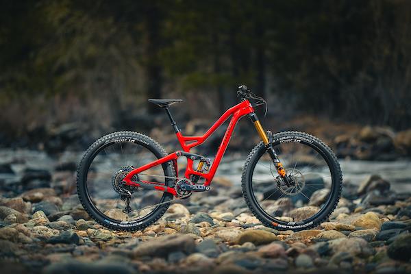 Niner WFO RDO Hot Tamale 2-Star Size LG