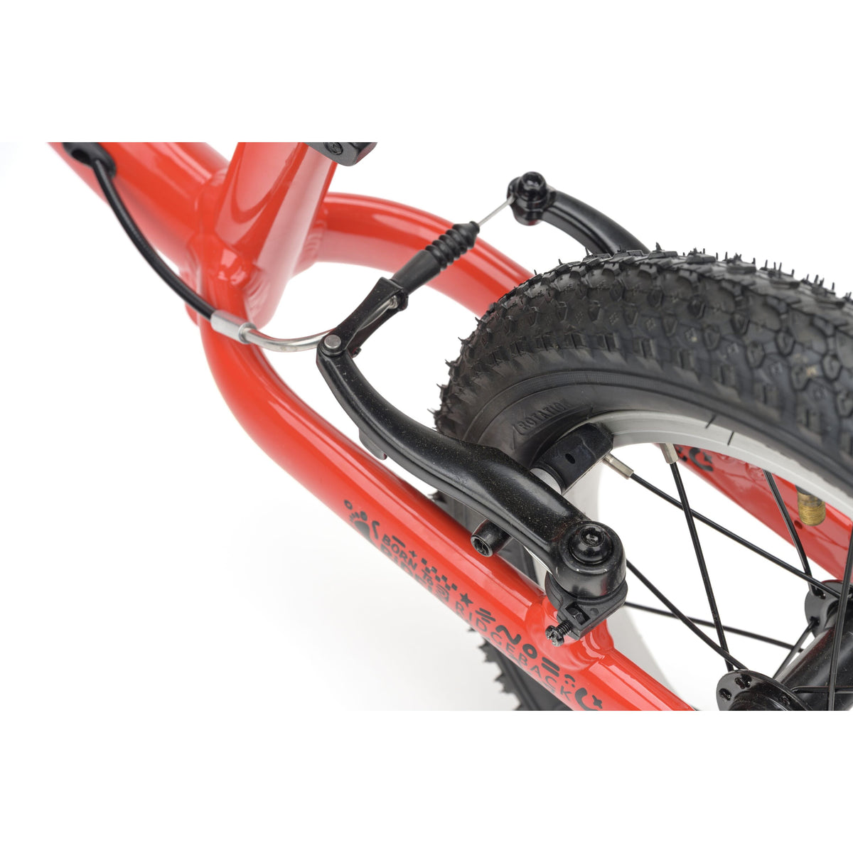 Ridgeback Scoot - 2026