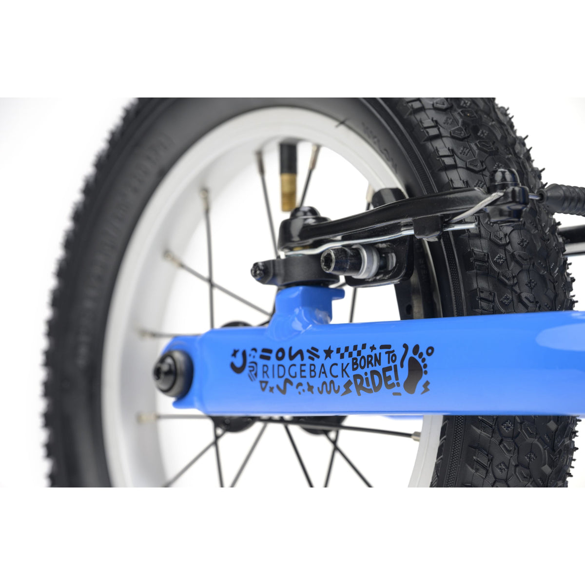 Ridgeback Scoot - 2026