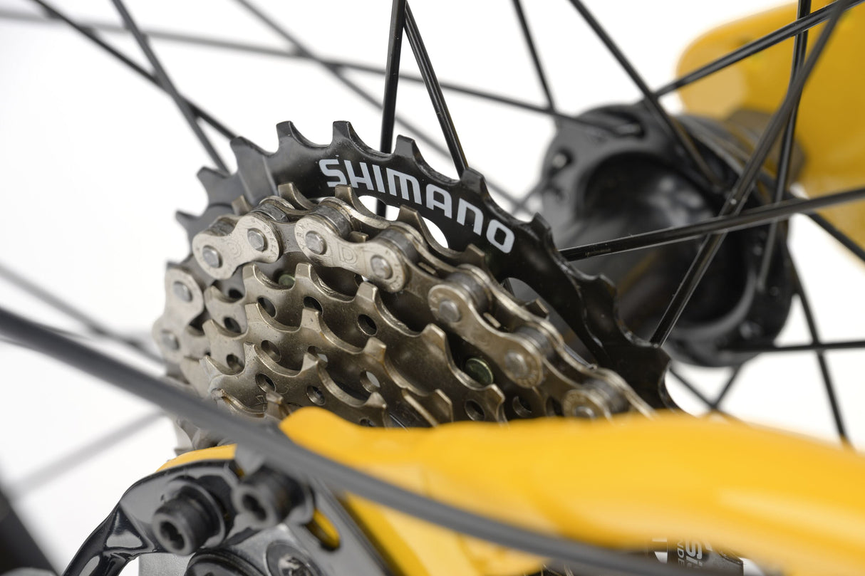 Ridgeback MX20 - 2026