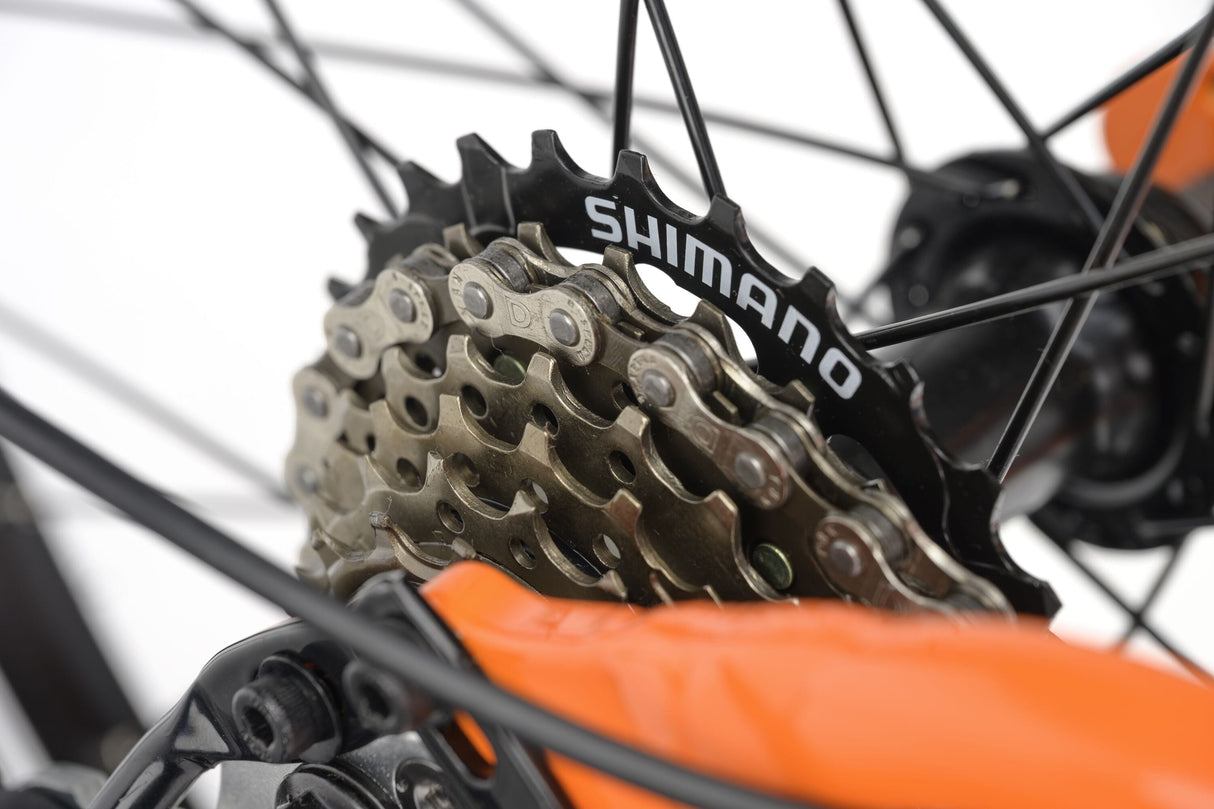 Ridgeback MX20 - 2026