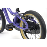 Ridgeback Dimension 14 - 2026