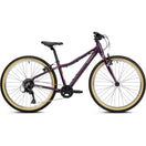 Ridgeback Dimension 24 - 2026
