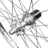 Velo Orange Disc Rear Cassette Hub - Simple Bike Store