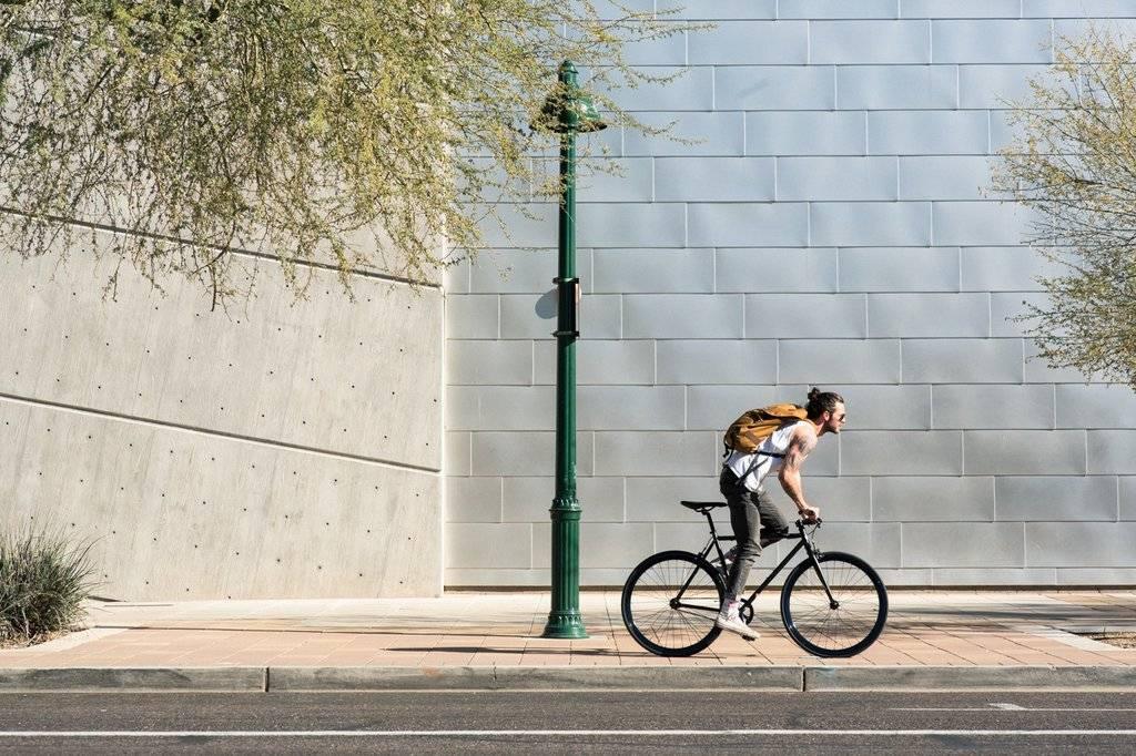 State Bicycle Co. Wulf - Core-Line - Simple Bike Store