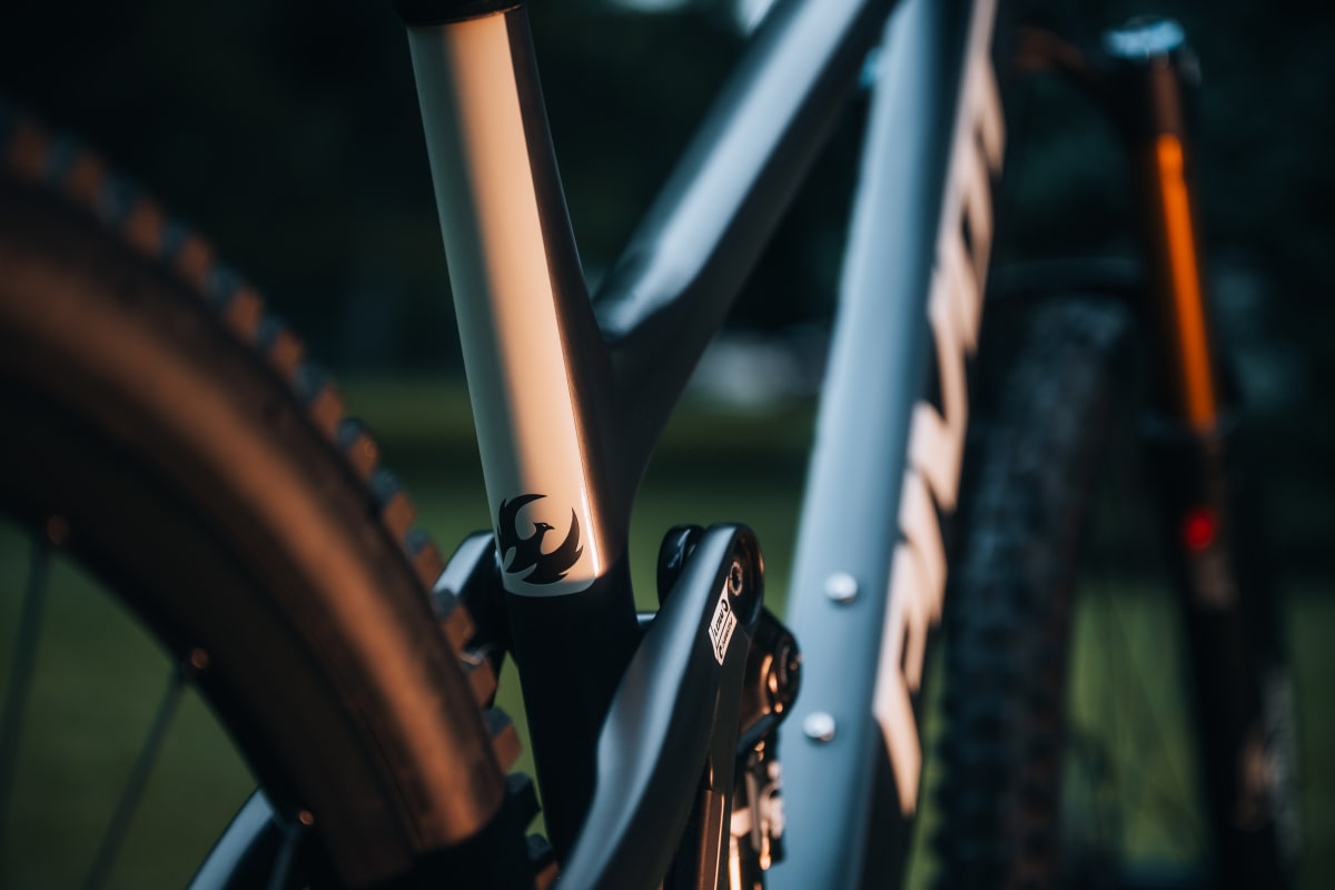 Pivot Switchblade Pro X0 Eagle Transmission