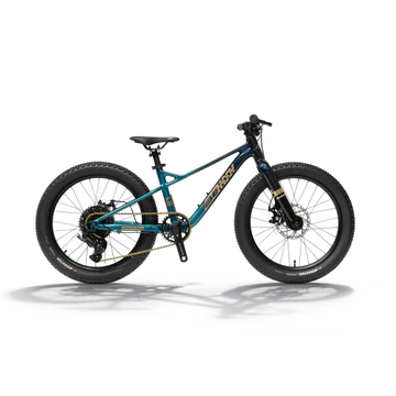 Bemoov T20