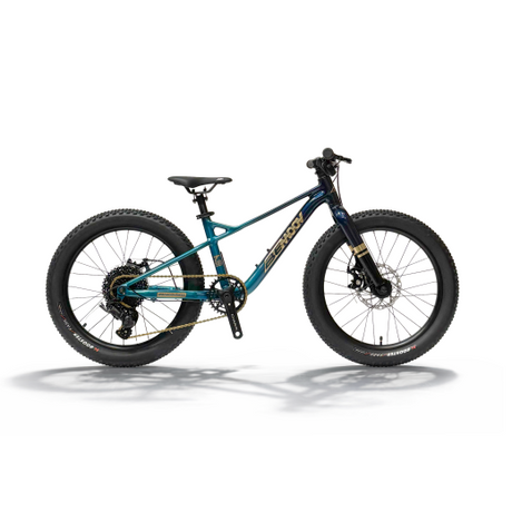 Bemoov T20